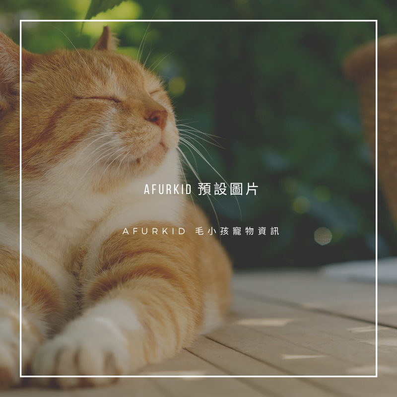 108年09月08日(日)在新豐鄉有免費的貓咪狗狗絕育活動
