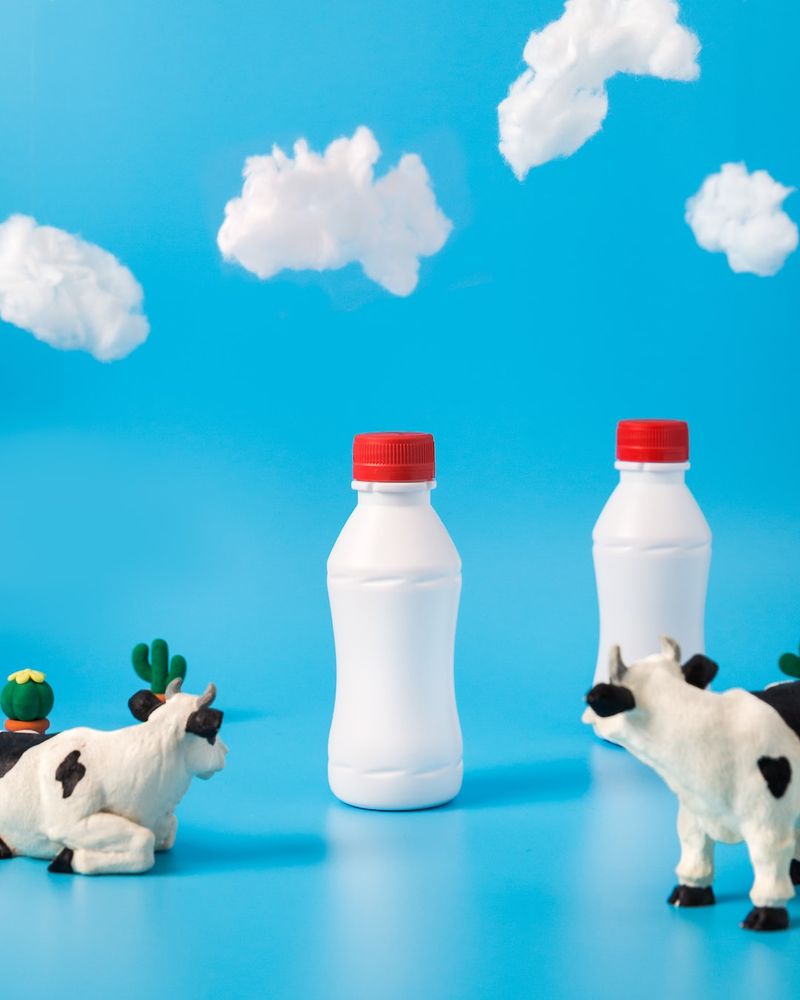 貓可以喝牛奶嗎？獸醫審查的乳糖不耐症事實