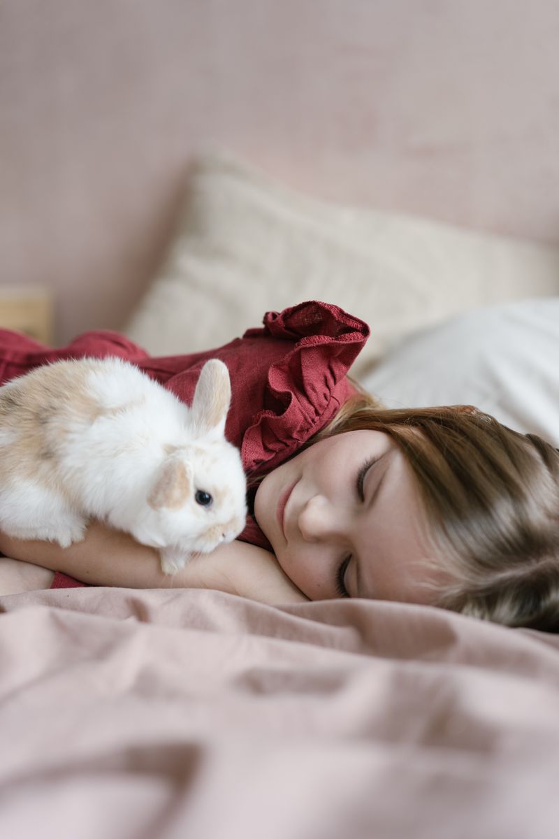 兔寶寶有敏銳的嗅覺嗎？迷人的事實